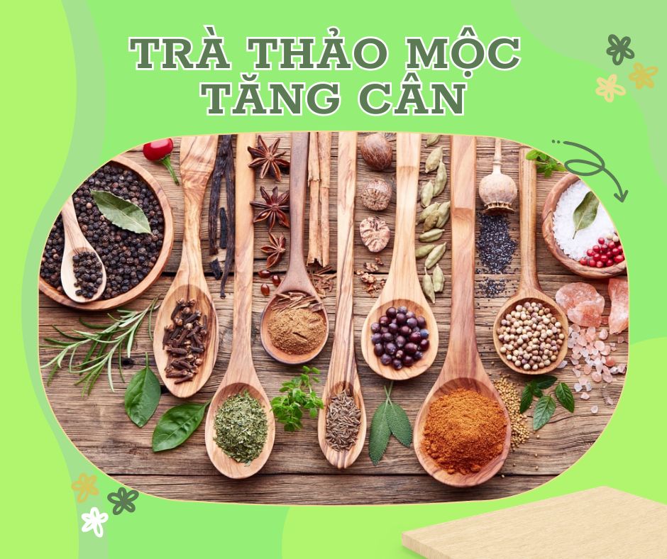 TRÀ THẢO MỘC TĂNG CÂN