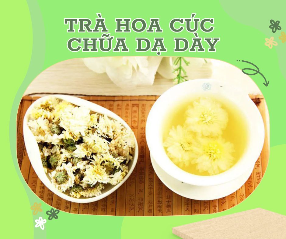 TRÀ HOA CÚC CHỮA DẠ DÀY