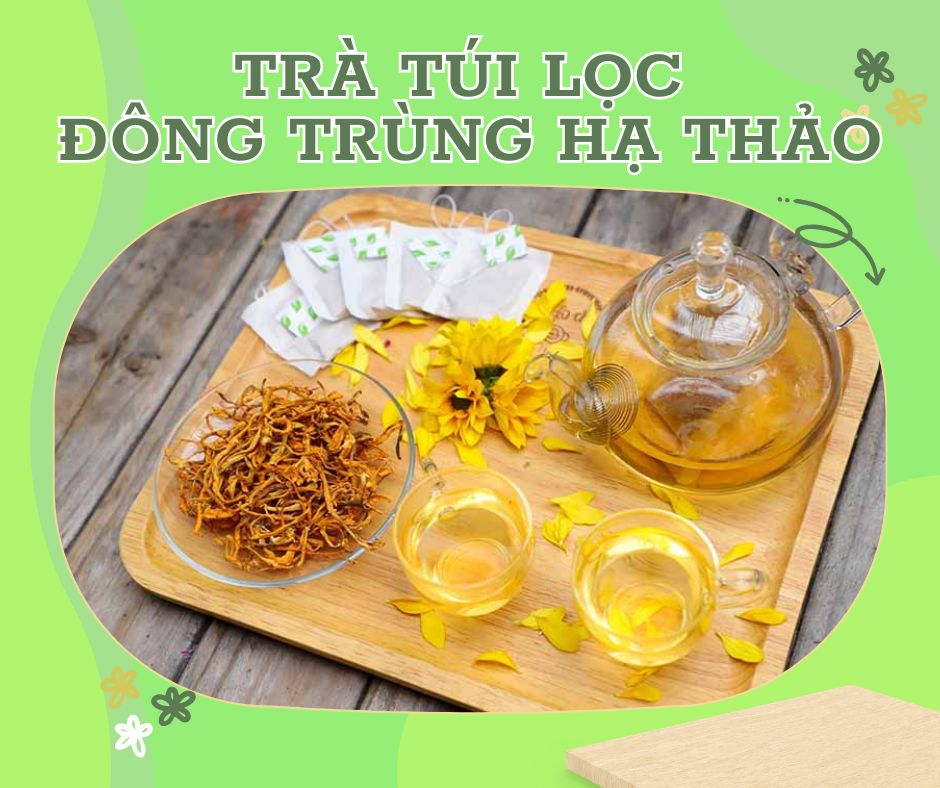 TRÀ TÚI LỌC Đông trùng hạ thảo