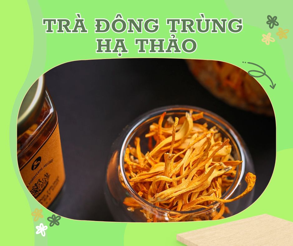 trà đông trùng hạ thảo