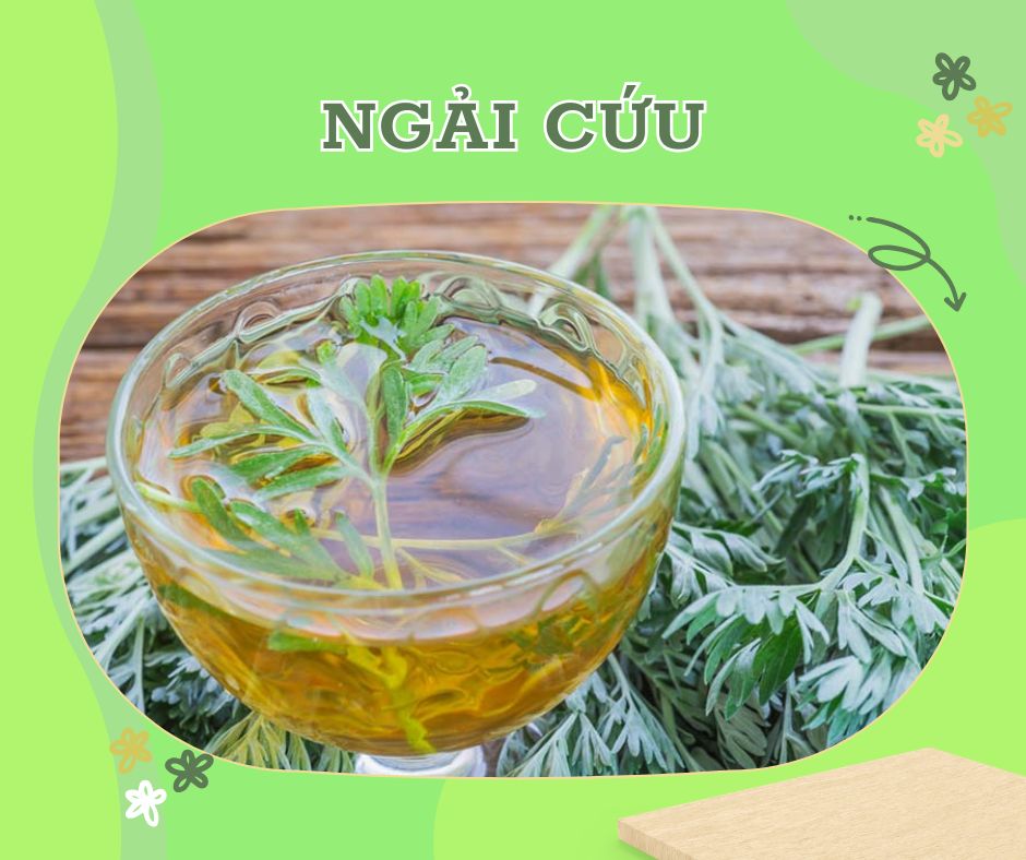 ngải cứu