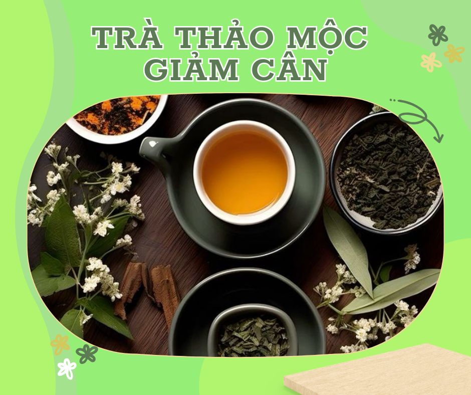 TRÀ THẢO MỘC GIẢM CÂN