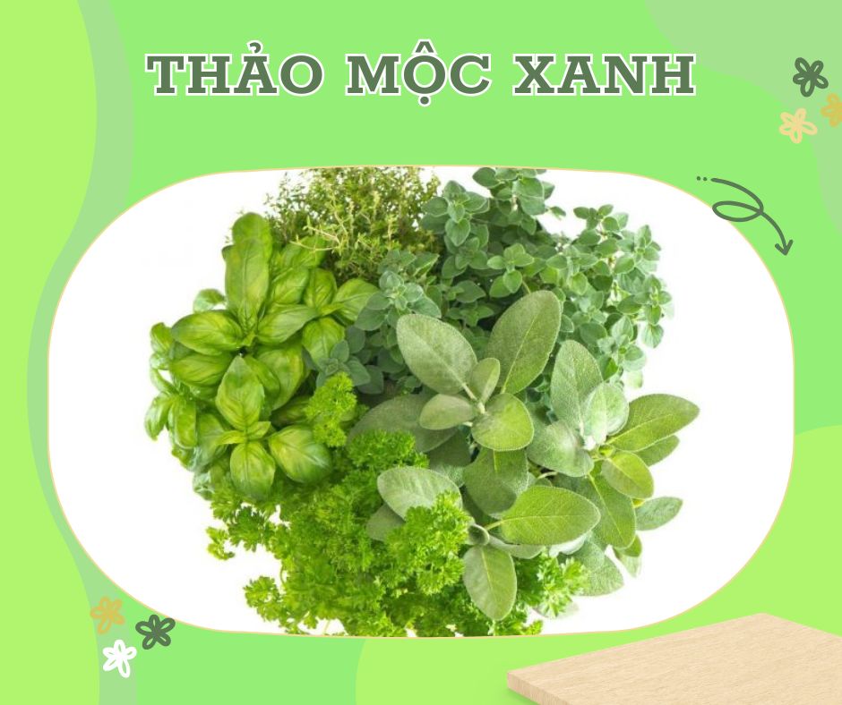 thảo mộc xanh